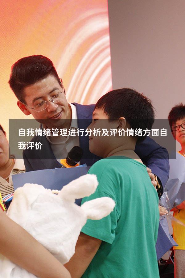 自我情绪管理进行分析及评价（情绪方面自我评价）