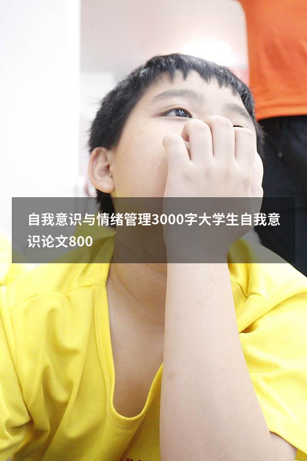 自我意识与情绪管理3000字（大学生自我意识论文800）