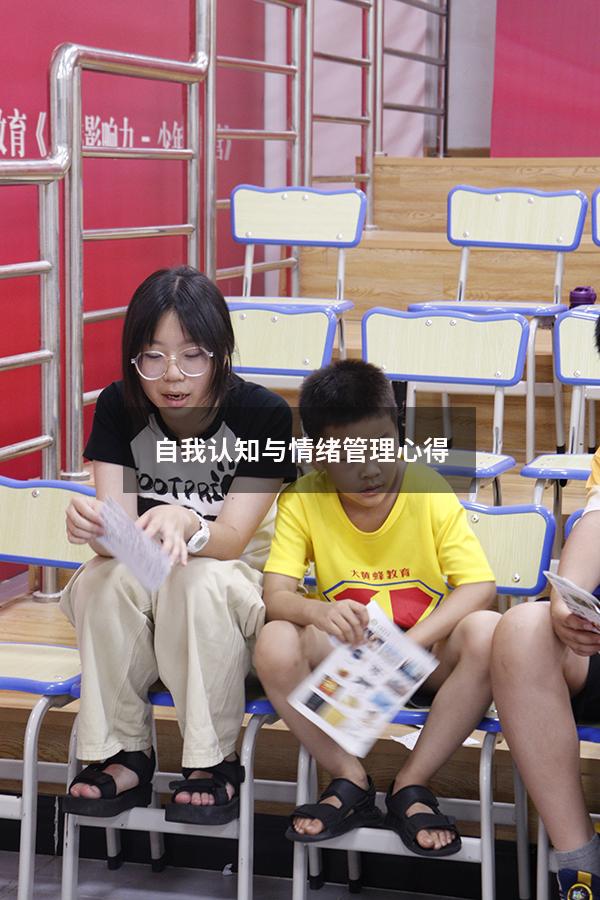 自我认知与情绪管理心得