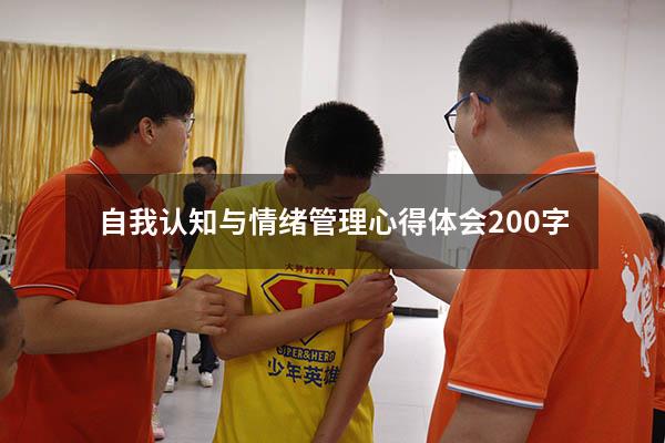 自我认知与情绪管理心得体会200字