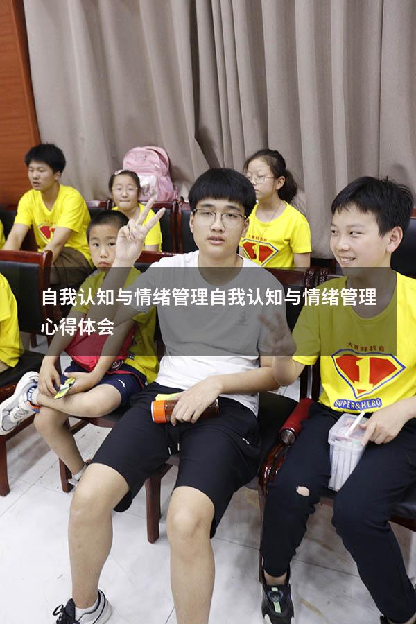 自我认知与情绪管理（自我认知与情绪管理心得体会）