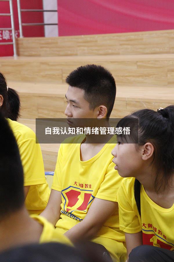 自我认知和情绪管理感悟