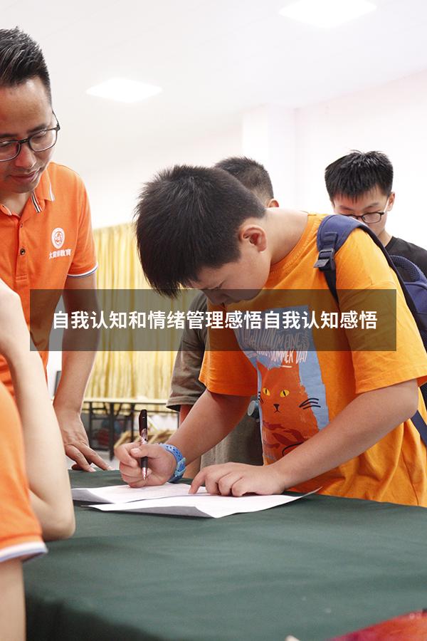 自我认知和情绪管理感悟（自我认知感悟）