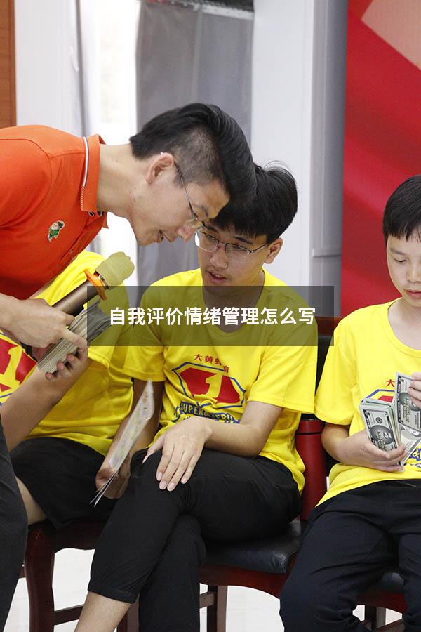 自我评价情绪管理怎么写