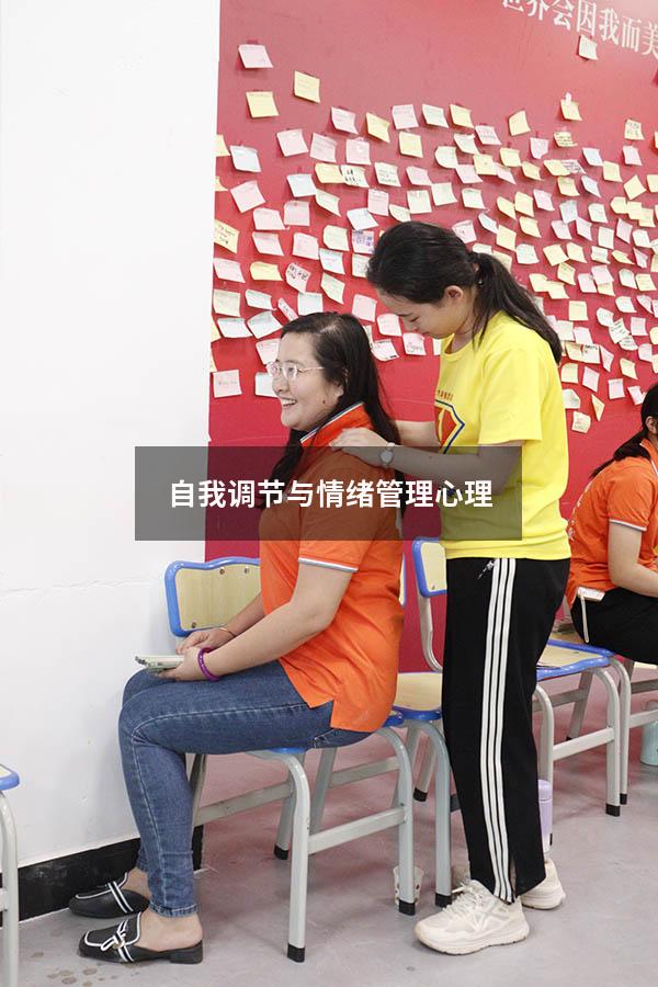 自我调节与情绪管理心理