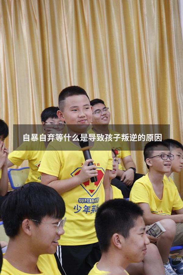 自暴自弃等什么是导致孩子叛逆的原因