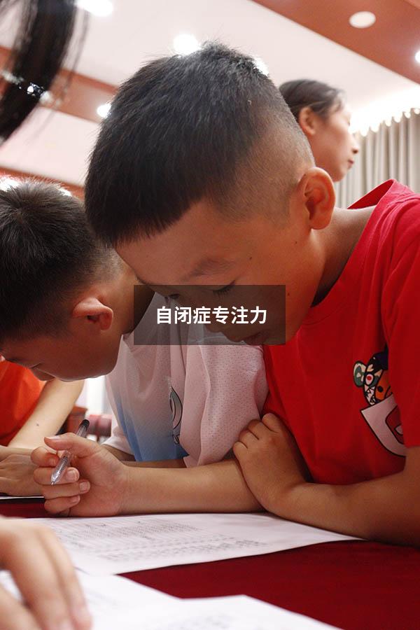 自闭症专注力