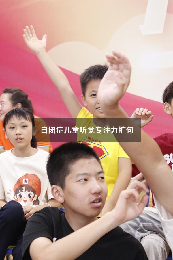 自闭症儿童听觉专注力扩句