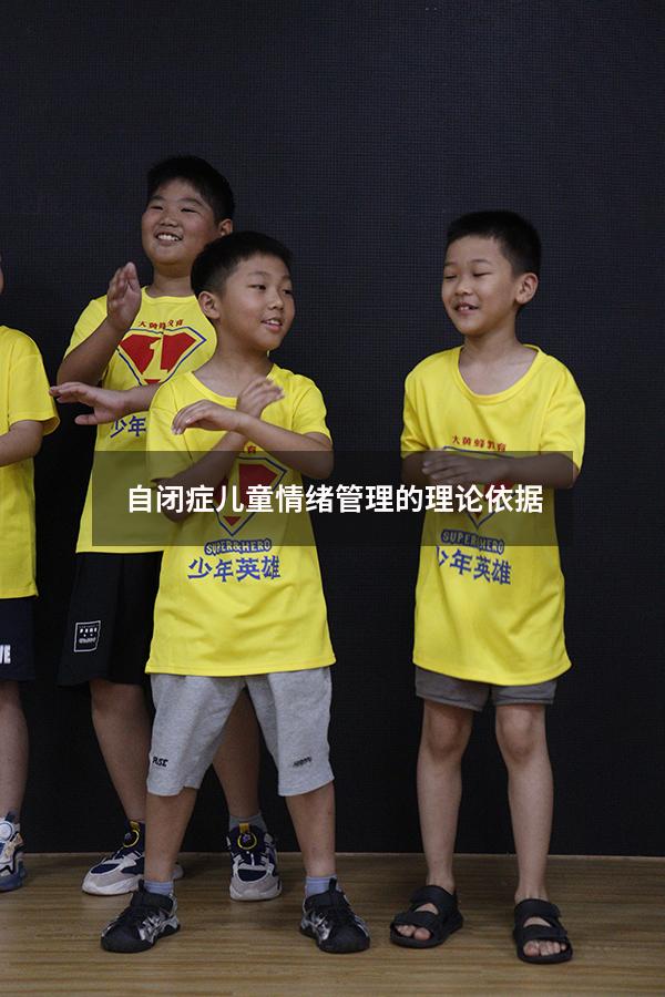 自闭症儿童情绪管理的理论依据