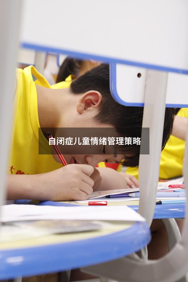 自闭症儿童情绪管理策略