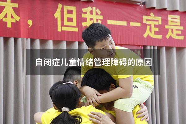 自闭症儿童情绪管理障碍的原因