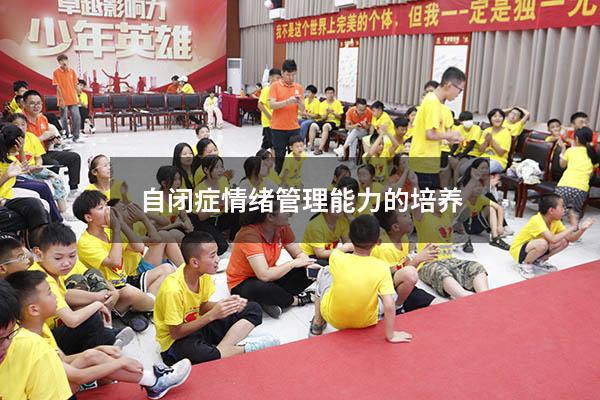 自闭症儿童情绪管理能力的培养策略