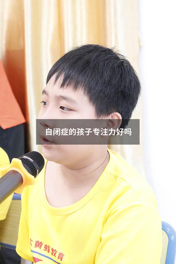 自闭症的孩子专注力好吗