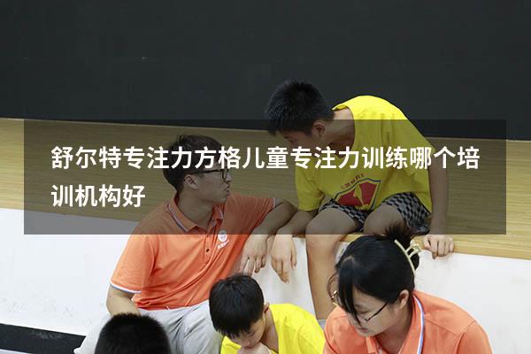 舒尔特专注力方格（儿童专注力训练哪个培训机构好）