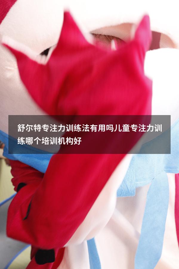 舒尔特专注力训练法有用吗（儿童专注力训练哪个培训机构好）