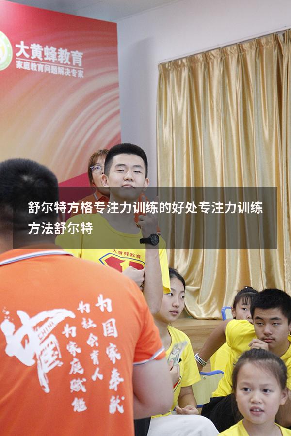 舒尔特方格专注力训练的好处（专注力训练方法舒尔特）