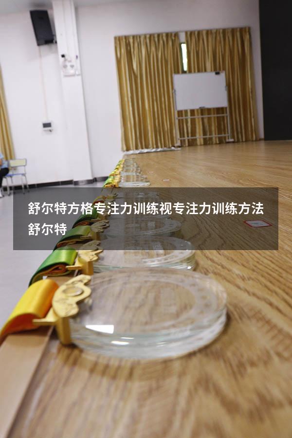 舒尔特方格专注力训练视（专注力训练方法舒尔特）