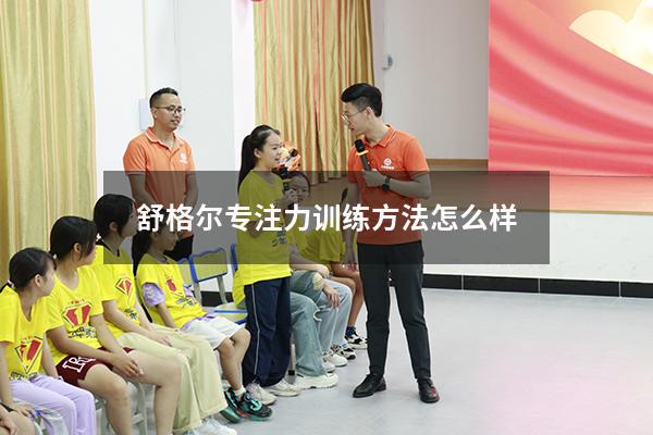 舒格尔专注力训练方法怎么样