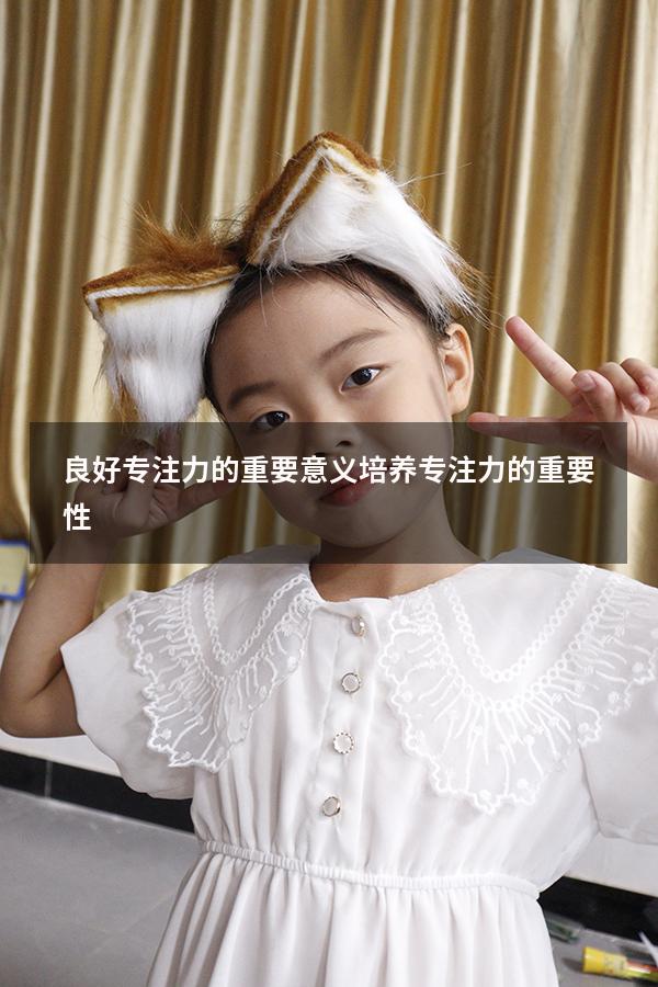 良好专注力的重要意义（培养专注力的重要性）