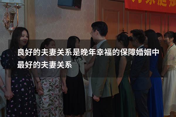 良好的夫妻关系是晚年幸福的保障（婚姻中最好的夫妻关系）