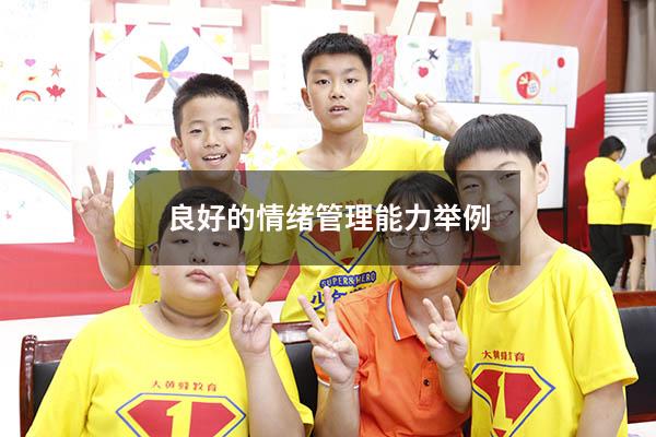 良好的情绪管理能力举例