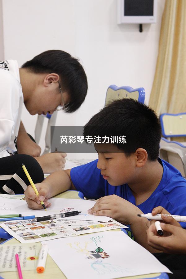 芮彩琴专注力训练5160