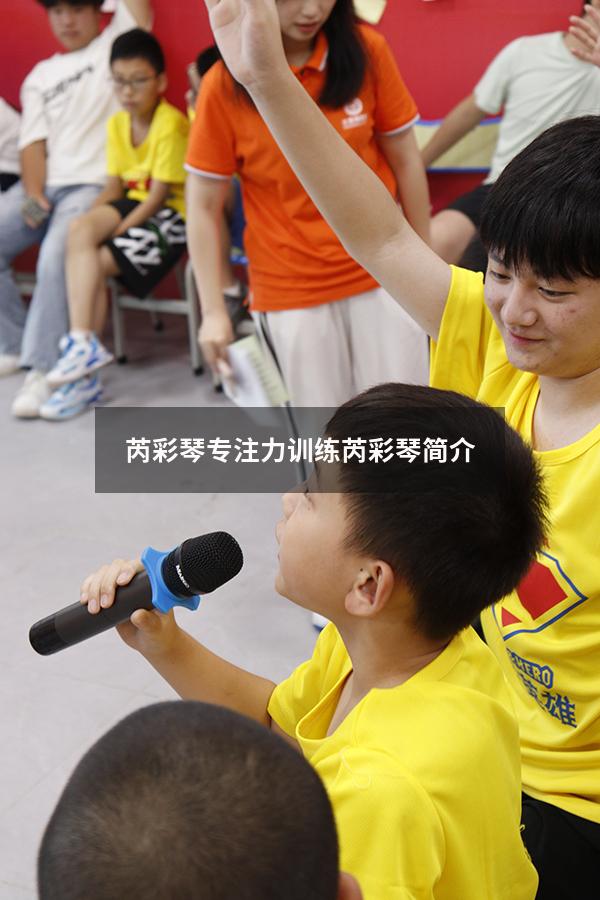芮彩琴专注力训练（芮彩琴简介）