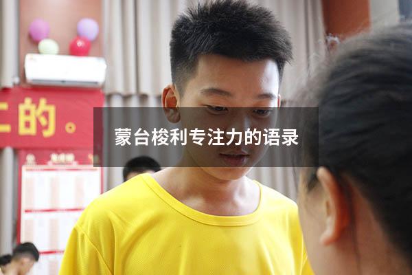 蒙台梭利专注力的语录