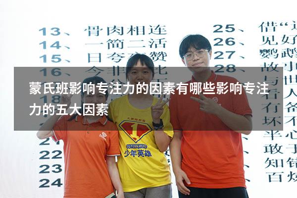 蒙氏班影响专注力的因素有哪些（影响专注力的五大因素）