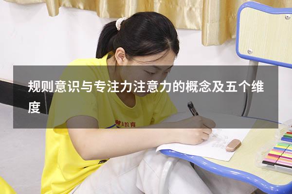 规则意识与专注力（注意力的概念及五个维度）