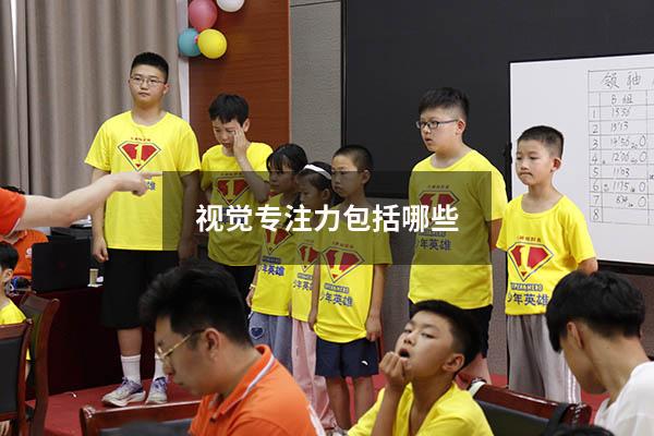 视觉专注力包括哪些