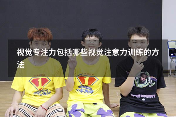 视觉专注力包括哪些（视觉注意力训练的方法）