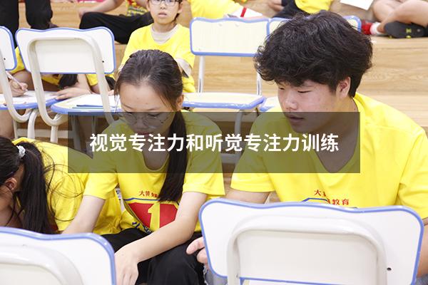 视觉专注力和听觉专注力训练