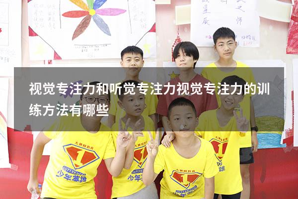 视觉专注力和听觉专注力（视觉专注力的训练方法有哪些）