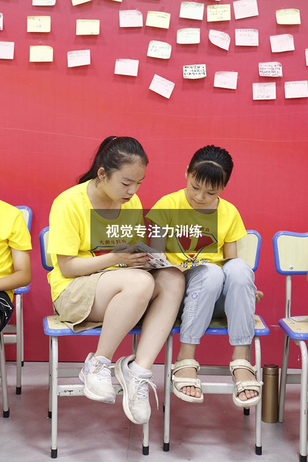 视觉专注力训练