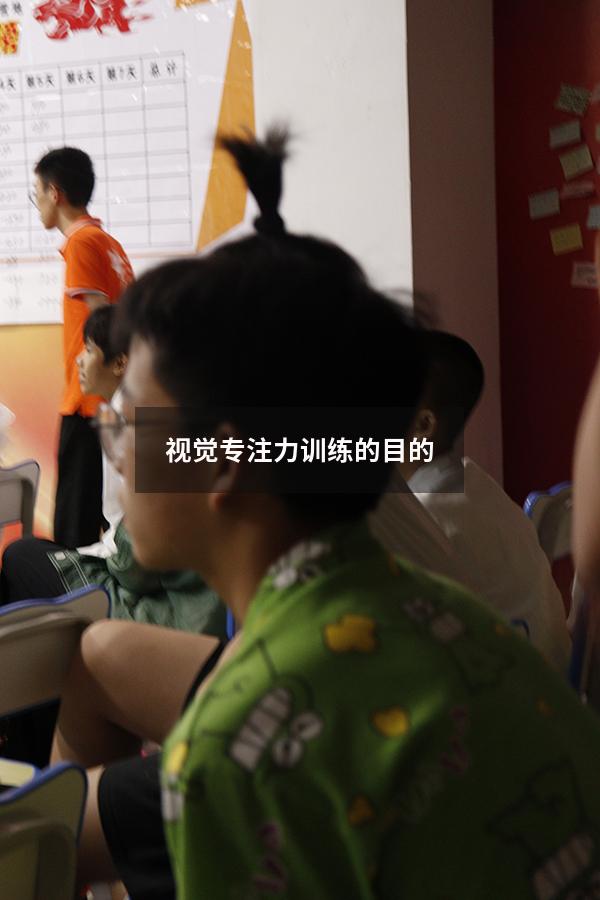 视觉专注力训练的目的