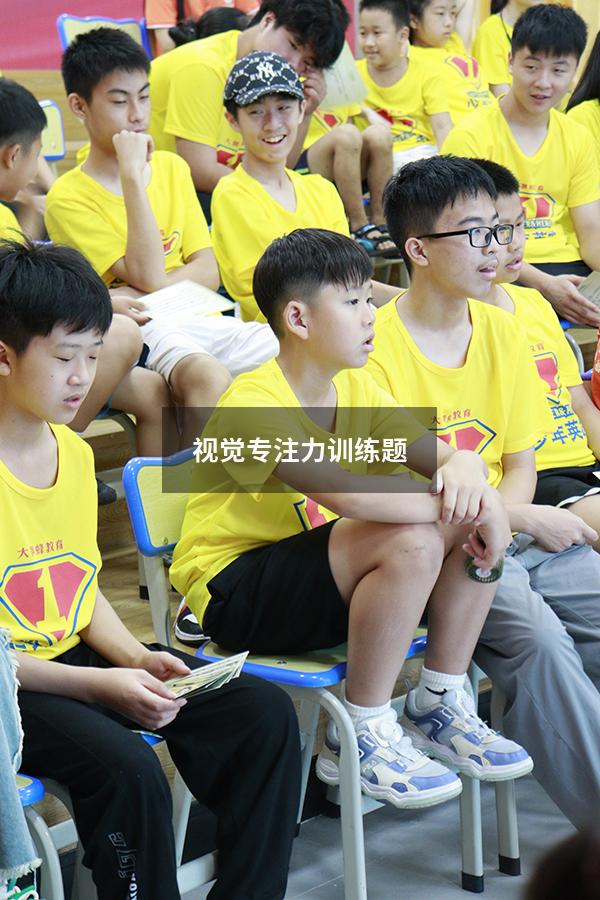 视觉专注力训练题