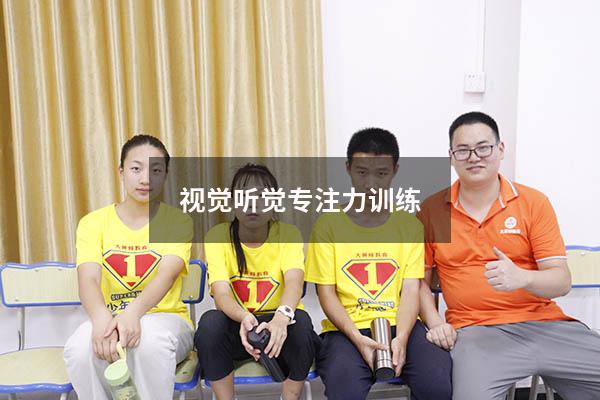 视觉听觉专注力训练