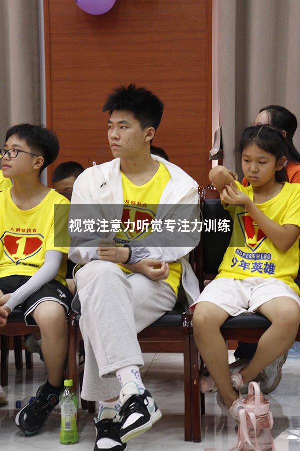 视觉注意力听觉专注力训练