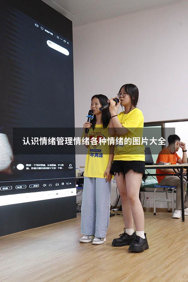 认识情绪管理情绪（各种情绪的图片大全）