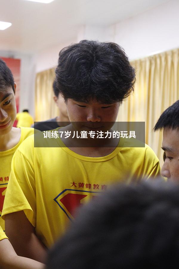 训练7岁儿童专注力的玩具