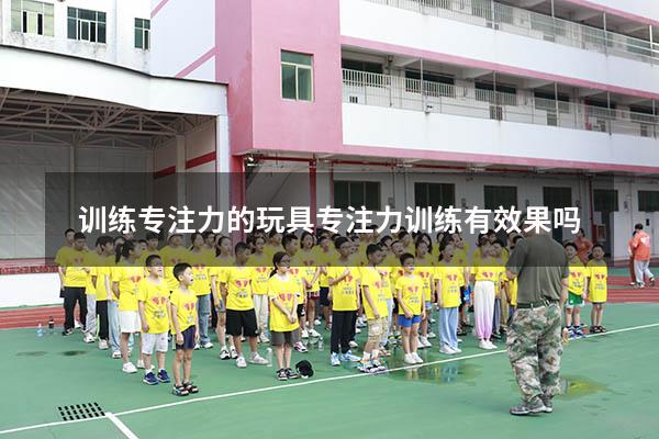 训练专注力的玩具（专注力训练有效果吗）