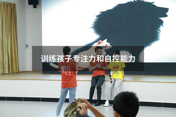 训练孩子专注力和自控能力