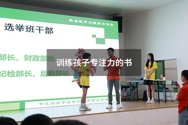 训练孩子专注力的书