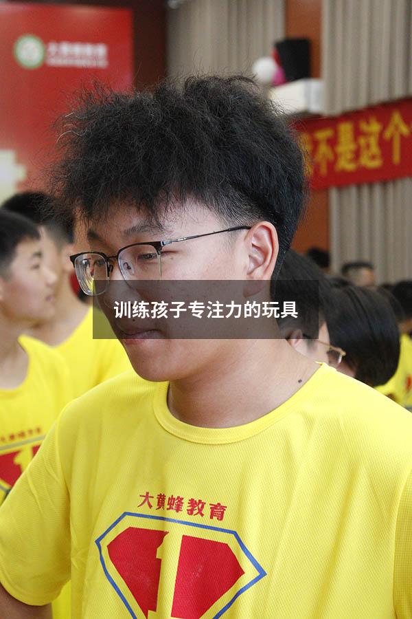 训练孩子专注力的玩具
