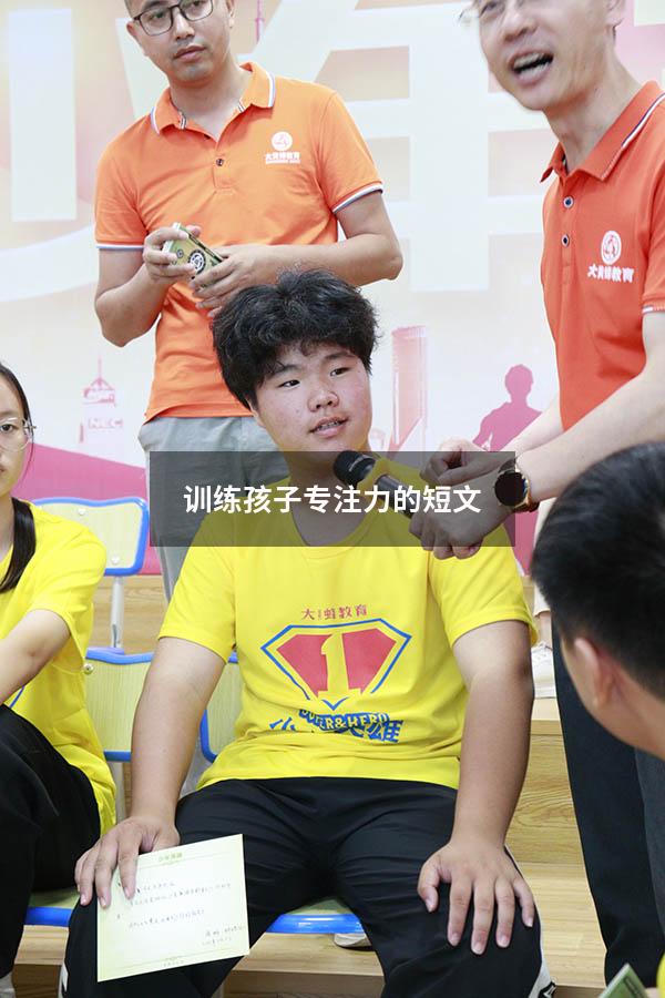 训练孩子专注力的短文