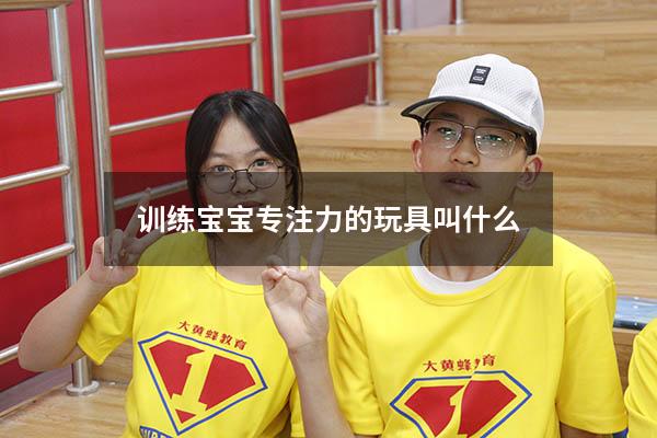 训练宝宝专注力的玩具叫什么
