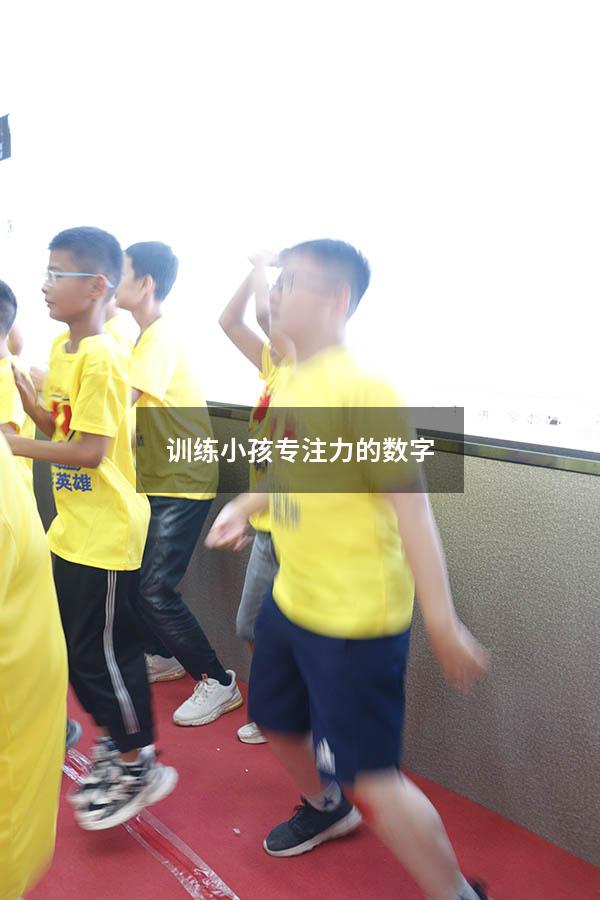 训练小孩专注力的数字