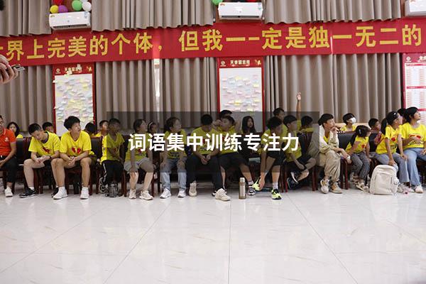 词语集中训练 专注力