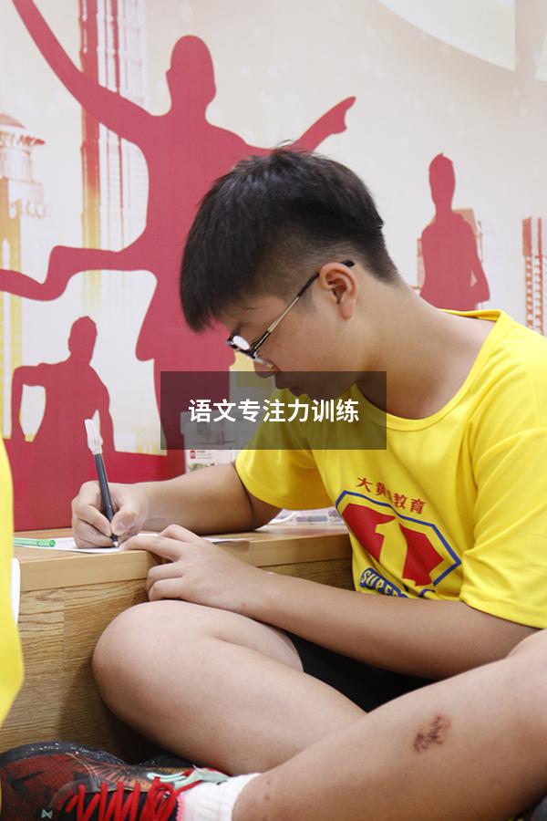 语文专注力训练